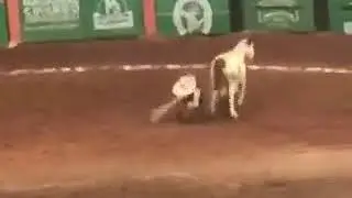 Congreso Y Campeonato Nacional Charro Hidalgo 2017 - Carlos Orozco
