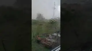 курлык