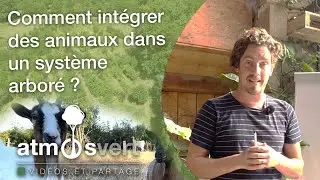 Comment intégrer des animaux dans un système arboré ?