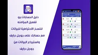 دليل الحسابات برو - تفعيل المزامنة للنسخ الاحتياطية للبيانات على حسابك في جوجل درايف