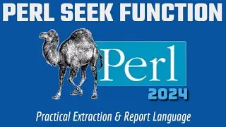 Perl Seek Function - Beginners Code Example 2024