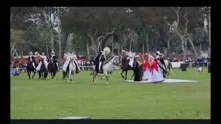 Trilogía de Peruanidad:  caballo peruano 🐎 🐴 , marinera y chalan 🫶🏅