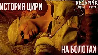Прохождение Ведьмак 3 Дикая Охота | Максимальный уровень сложности | #9| История ЦИРИ на болотах!