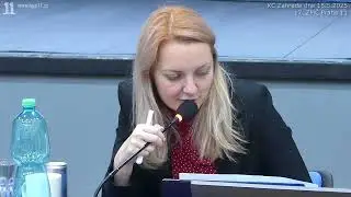 20.Zpráva o činnosti RMČ