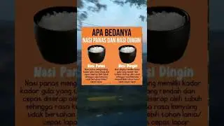 Apa beda nasi panas dan nasi dingin 