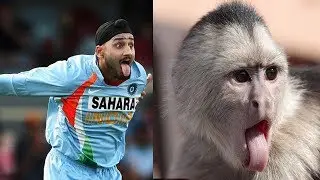 15 Cricketers who Look like animals