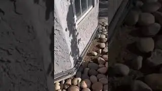 INSANITY! HANDYMAN ELECTRICAL STRIKES AGAIN! 