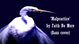 Malpractice by Faith No More (Bass cover)