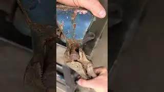 CLEVER TRICK OF THE MASTER MECHANIC! ¡EL TRUCO INTELIGENTE DEL MAESTRO MECÁNICO!