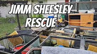 Jimm Sheesley Rescue