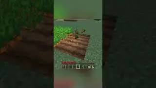 #Minecraft Tips and Tricks to Use in Game!