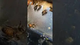 Что происходит? 
