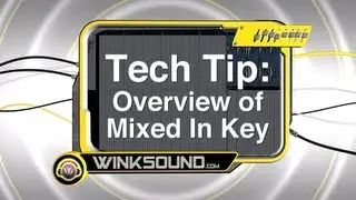 Tech Tip: Overview of Mixed In Key | WinkSound