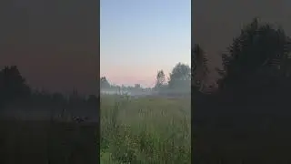 4 сентября 2024 г.