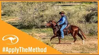 Clinton Anderson: Avoid Creating a Barn-Sour Horse - Downunder Horsemanship