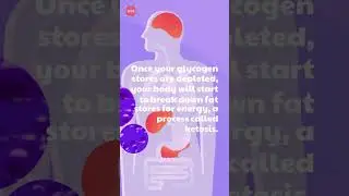 What Happens If You Eat Nothing For 3 Days? 