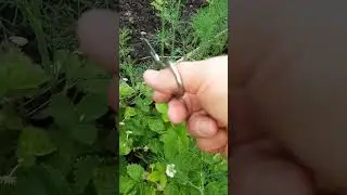 Маленький совет.