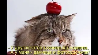 Весёлый день.