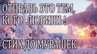 ОЧЕНЬ ДУШЕВНЫЙ И ТРОГАТЕЛЬНЫЙ СТИХ 