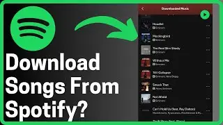 How To Download Songs From Spotify - Full Guide