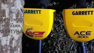 New! Garrett ACE 300i Review and Comparison with the Garrett ACE 250