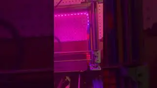 Neopixels on SKR v1.4