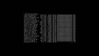 Step-by-Step Newbies Guide to Arch Linux (EXTREME EDITION)