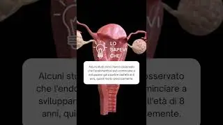 Endometriosi: la malattia invisibile