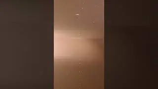 откуда в аквариуме эта цепочка пузырей
