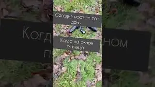 Сегодня настала эта пятница! Согласны? #цитаты