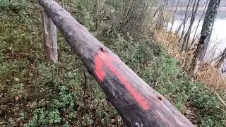 Озеро 🚣🚣🚣 Боровое.