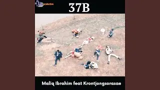 37b