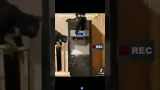 приколись, я subzero