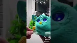 Поём песню 