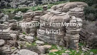 Tatsunoshin - Lost My Love (No Lyrics)