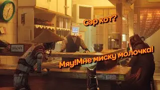 Почему Stray самая мурчащая игра?🐈