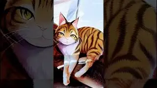 @Versão anime. Tuca Tuquinha.