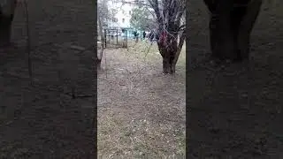 Дети выбирают волейбол