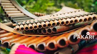 Pakari - Sounds of the Andes/Live music