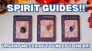 ⚠️🚨URGENT MESSAGE🚨⚠️FROM YOUR SPIRIT GUIDES💓🔮🐞 You Need To Hear This!!🤩🔮🐱 Timeless Tarot
