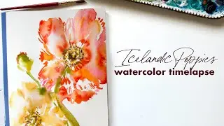 Icelandic Poppies Watercolor Painting Timelapse