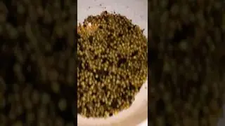 Делаем денги на червях Шишки бошки покли кокан.
