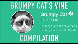 Grumpy Cat's Vine Compilation!