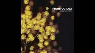 Phantogram - Eyelid Movies (2010) trip-hop | electronic | indie | experimental poptron indietronica