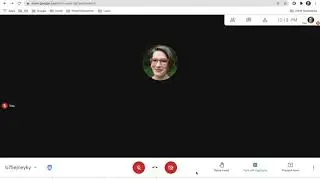 Google Meet Basic Controls