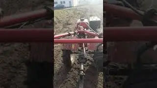 пакатушки 5часть