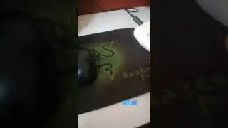 the mouse auctomatic red light without usb and bluetooh connected but how to fix it