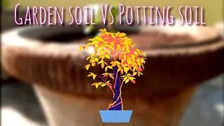 Garden soil vs potting soil | garden soil is for gardens not for pots!