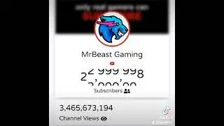 Exact Moment MrBeast Gaming Hit 23 Million Subscribers! | 