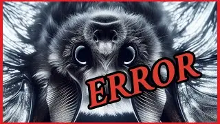 2020 American Samoa Bat Quarter (ATB) Error Coins Found!